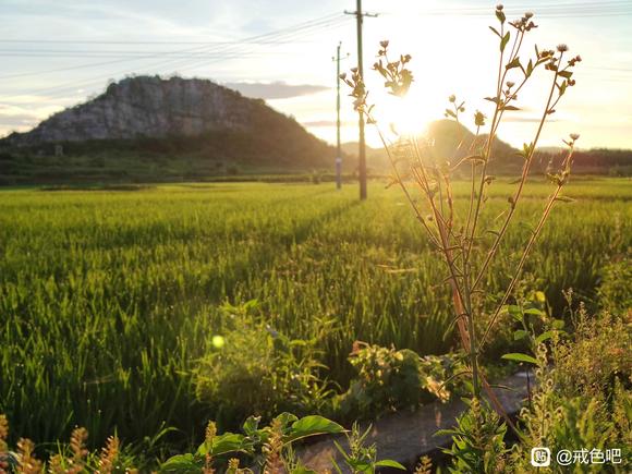 ”戒色打卡，第五十五天
