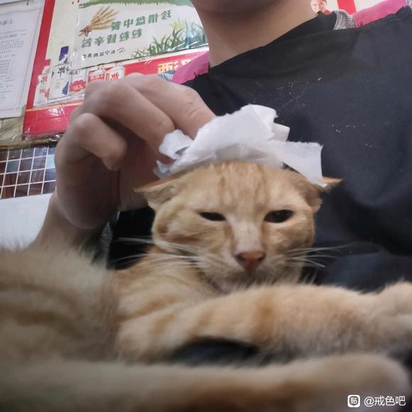 ”戒色学佛历程