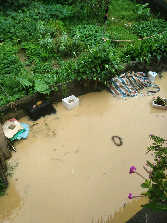 ”外面都下雨了，今天有点糟糕