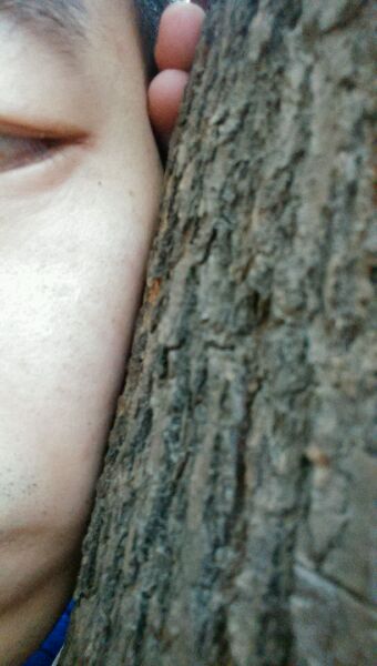 ”【举报网址】今天早上举报了那种写真类网站！反正残害我大半年了