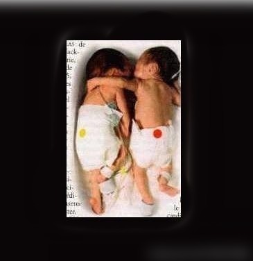 ”【举报网址】今天早上举报了那种写真类网站！反正残害我大半年了