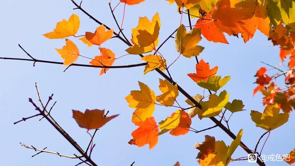 ”戒色打卡，第五十九天