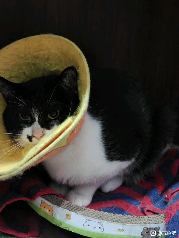 ”撸的脑袋发懵