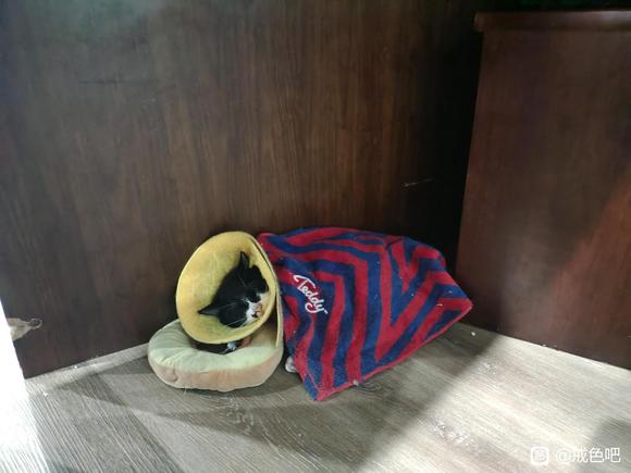 ”撸的脑袋发懵