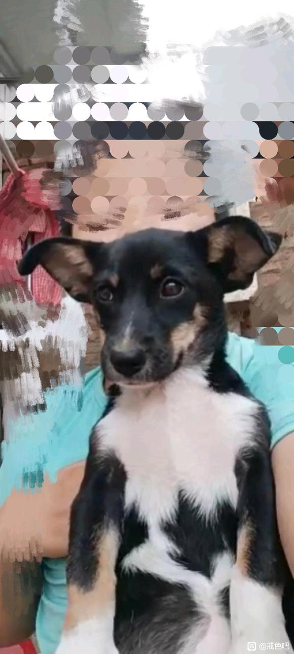 ”。亲友们，请教你们一个问题呀。