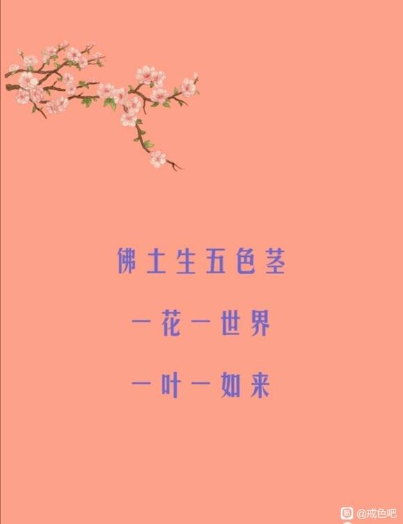 ”喜阅《华严经》