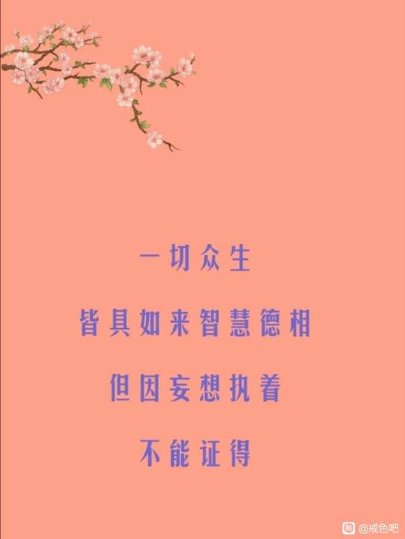 ”喜阅《华严经》