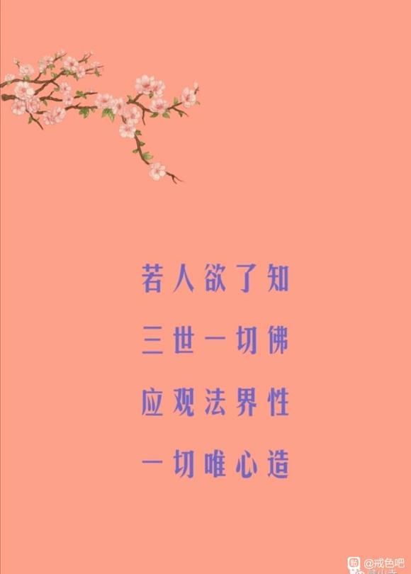 ”喜阅《华严经》