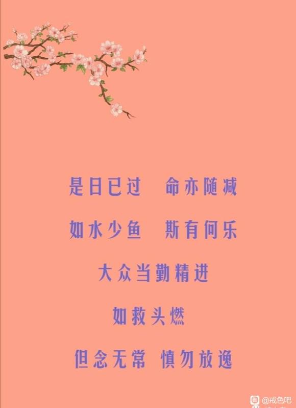 ”喜阅《华严经》