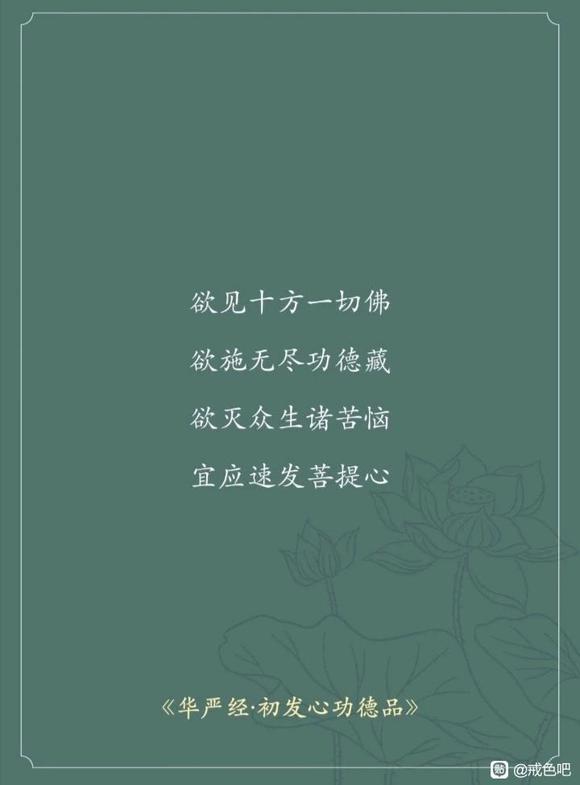 ”喜阅《华严经》