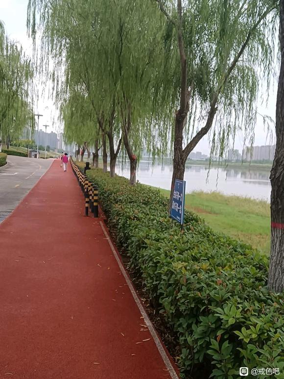 ”不负韶华，努力奔跑，戒色35天