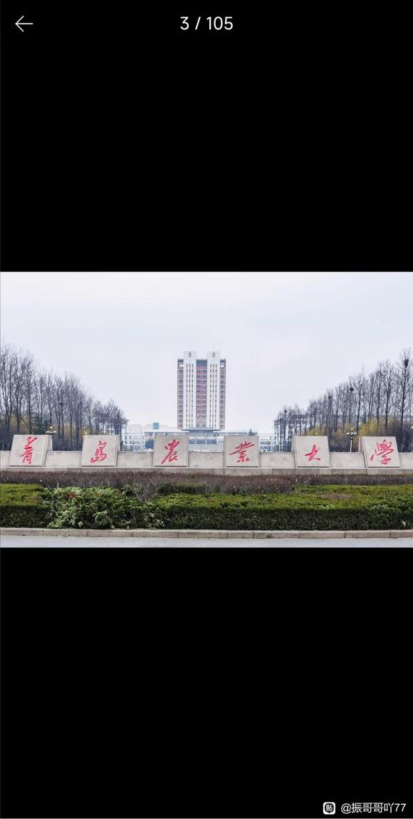 ”我在青岛农业大学等你吖