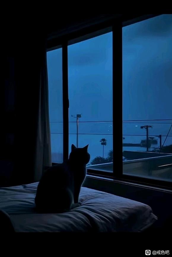 ”戒了吧！现在！立刻！马上！