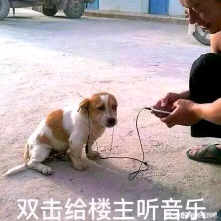 ”为岚兮儿戒色的第十天