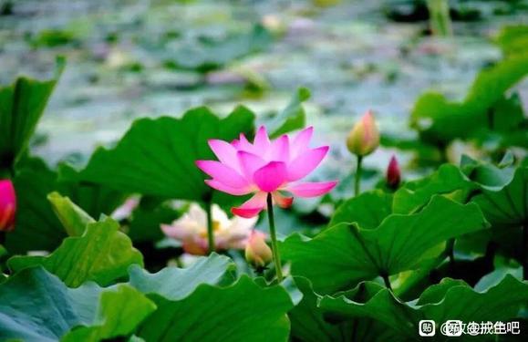 ”老话说“晚不梳头，早不说梦”，什么意思？年过50的人多看看