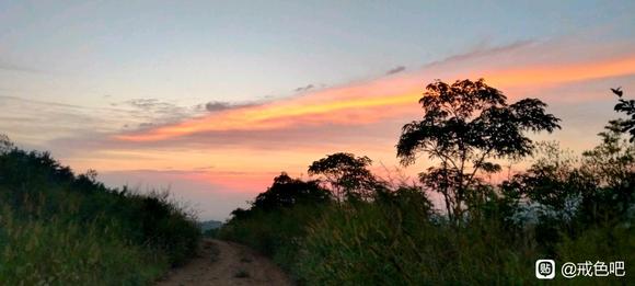”想问下群里有人吃非那雄胺吗对脱发有没有效果