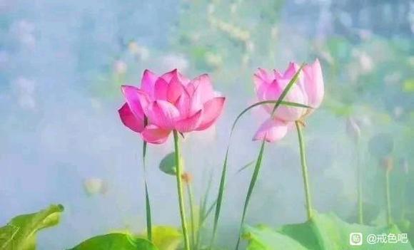 ”一天都在玩手机，严重损失自己的肾精导致恢复缓慢