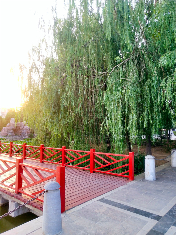 ”努力，苦是暂时的人生晚吃苦，不如早吃苦；你现在不累，以后就会