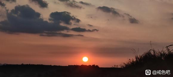 ”#微信看病卖药是假的#坚持第五天啦