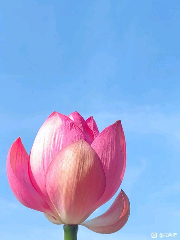 ”戒色只有进行时！