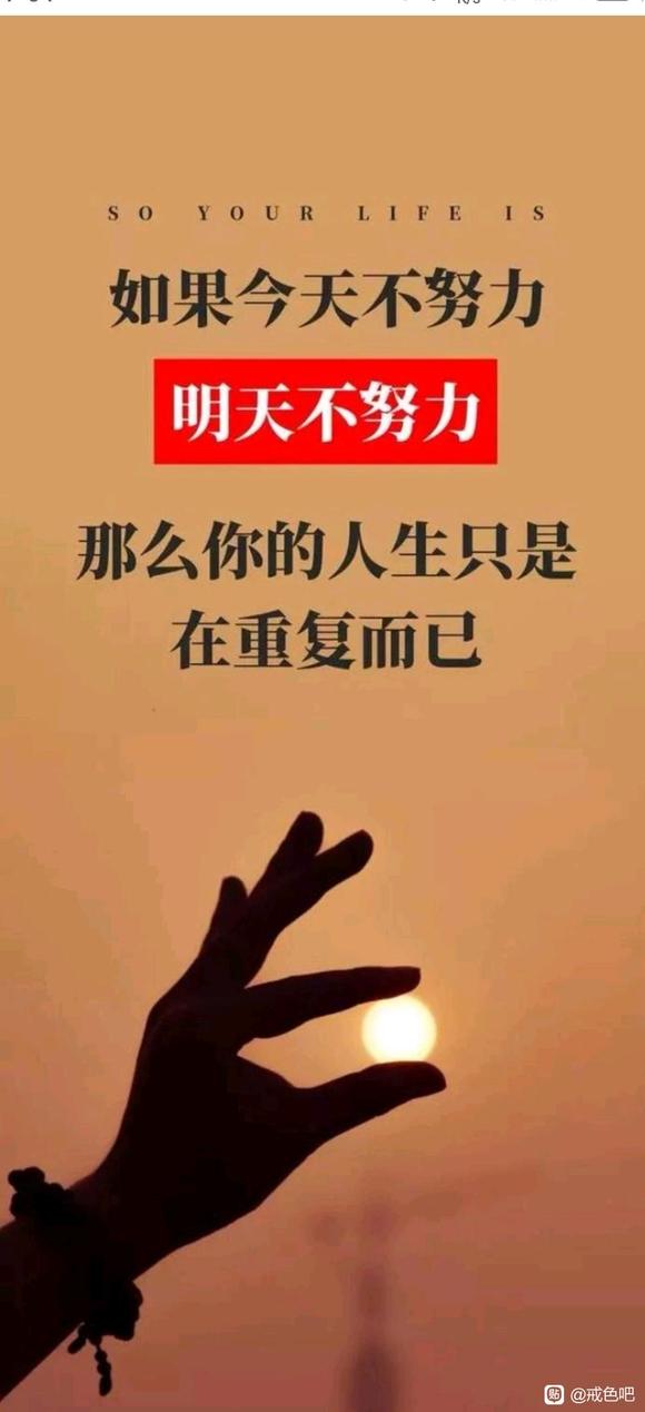 ”新手到一百天要点与体会