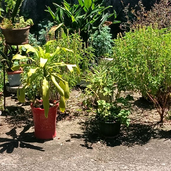 ”致将来临破戒门前的自己破戒时的后悔在破戒前是完全想象不到的