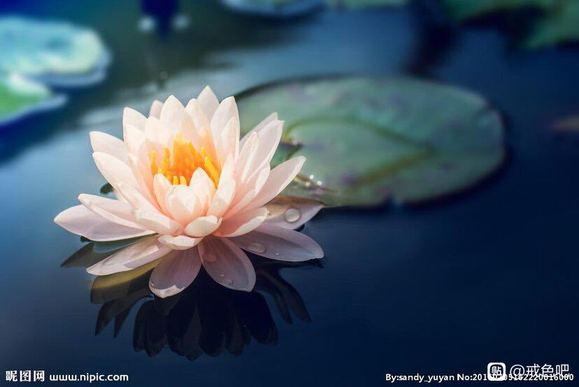 ”邪淫者有救了