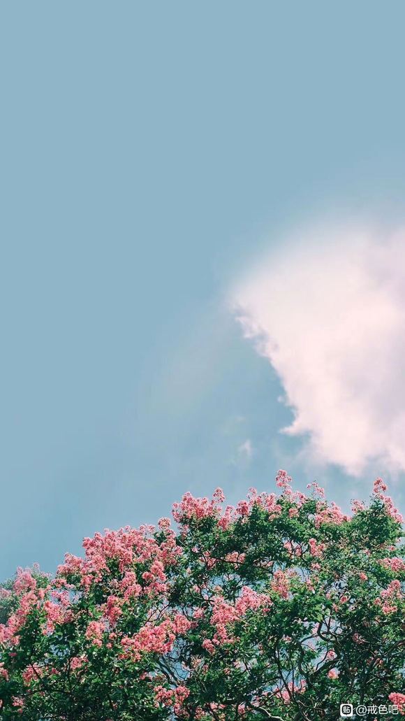 ”邪淫者有救了