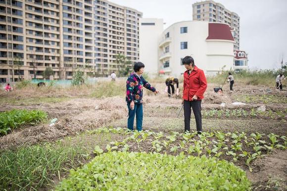 ”俗话说“五不怨父，七不责子”其家必旺，家和才能万事兴