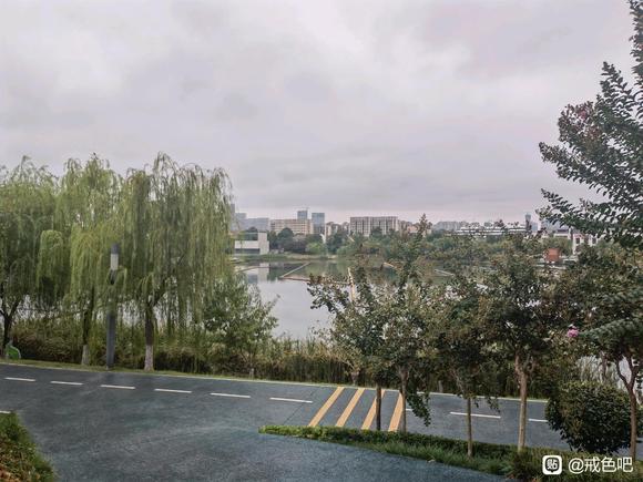 ”开个帖子自己每天打卡