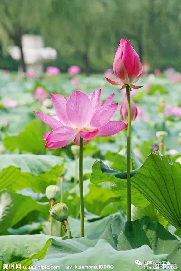 ”中国得道高僧200句最醍醐灌顶的神句！强烈建议收藏，背下来！