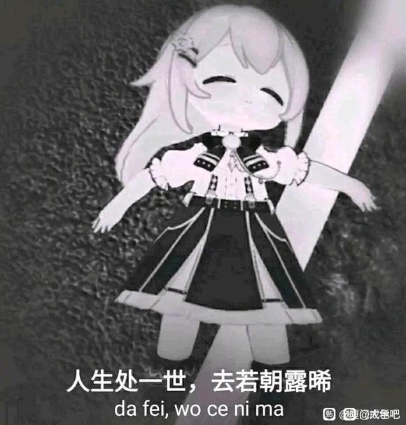 ”一定要抵制二刺螈邪恶文化入侵