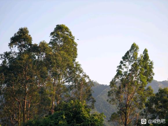 ”戒色打卡，第三天