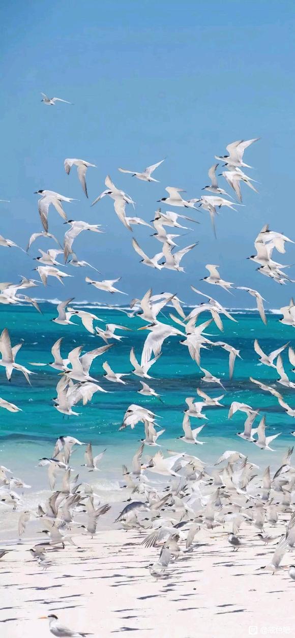 ”吃早餐了，加油加油