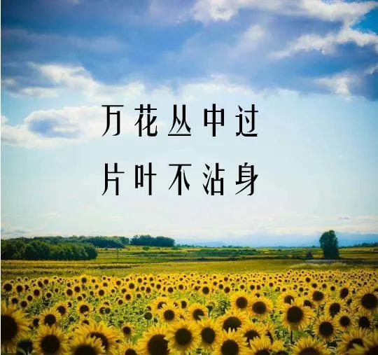 ”两百六十七、标题:刚开始戒色的你,不妨也来写写戒色感言