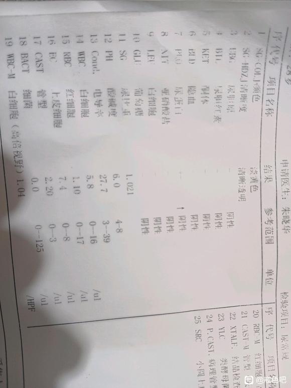 ”尿蛋白半个＋号