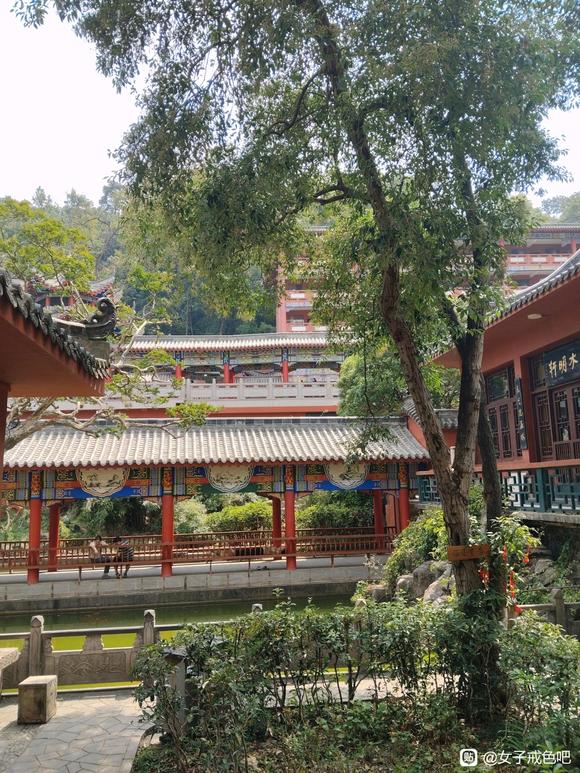 ”第十天了，坚持阶段性打卡，有没有一起戒的姐妹