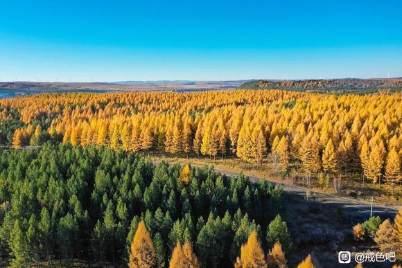 ”关于戒色后恢复期间心态的调整