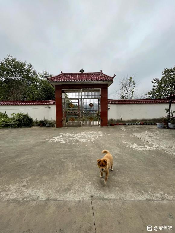”大山里的青旅,戒色挺好的