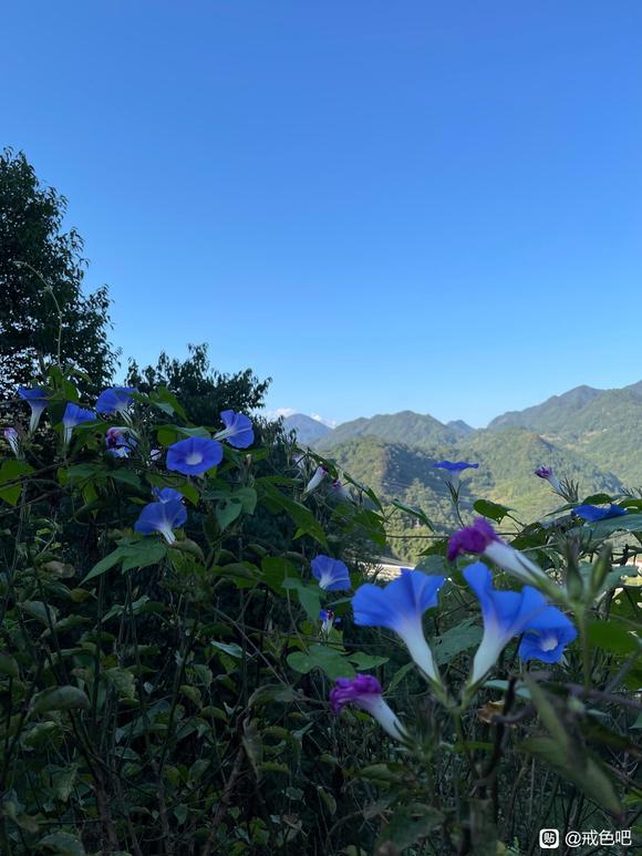 ”大山里的青旅,戒色挺好的