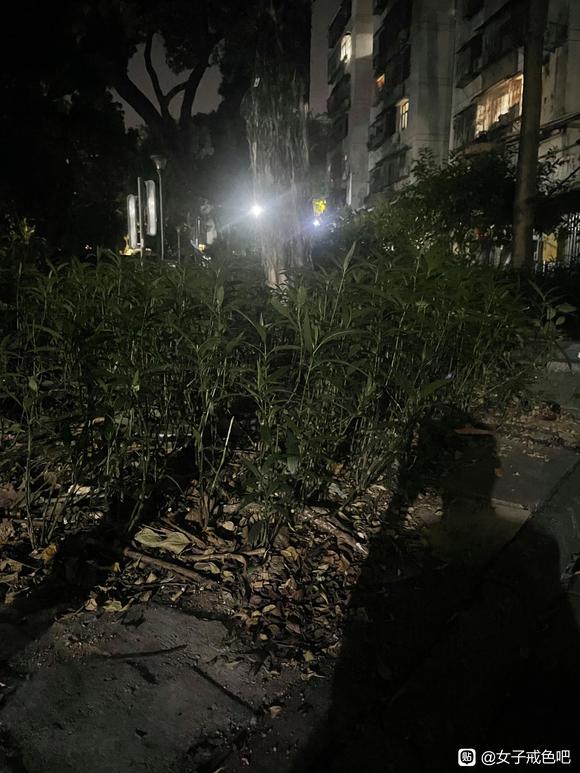 ”微风细雨的深夜