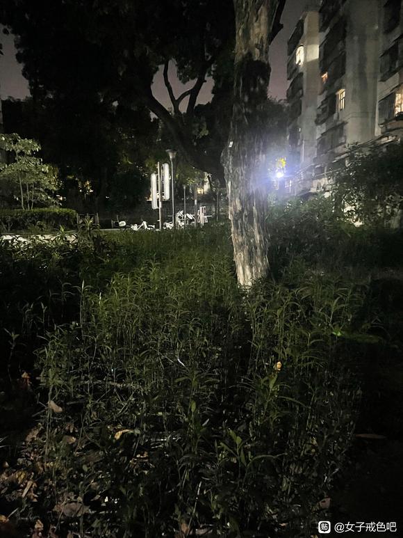 ”微风细雨的深夜