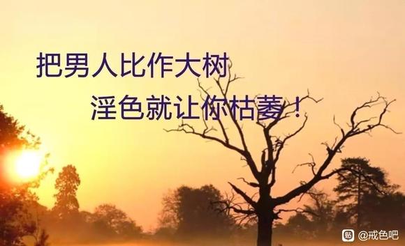 ”戒色心得总结