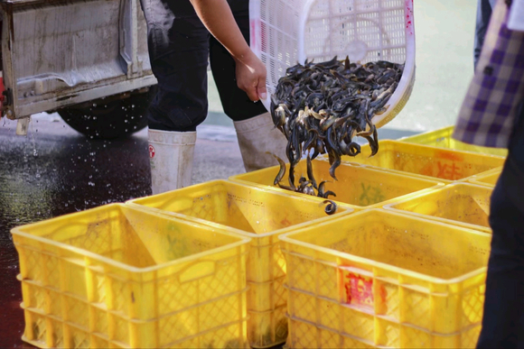 ”恢复身体，✌