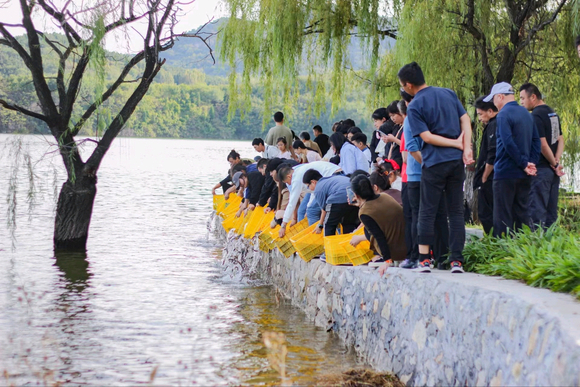 ”恢复身体，✌