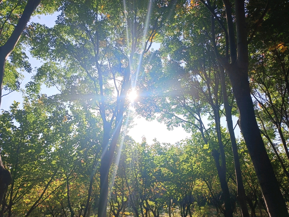 ”远离社恐抑郁的第841天