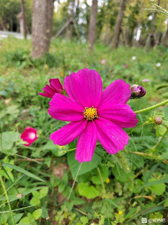 ”越念家庭事业生活越来越顺利增上，有一起的嘛？