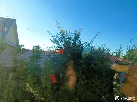 ”已经31天了，打卡