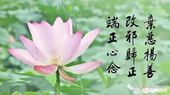 ”学会了安静，懂得了闭嘴，你就赢了闭嘴是最好的修炼。