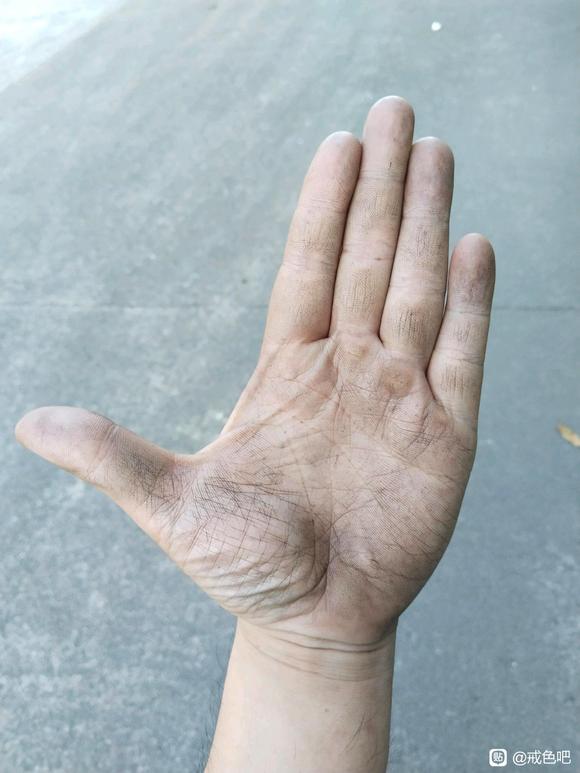 ”我怎么办？我真是苦逼的人！